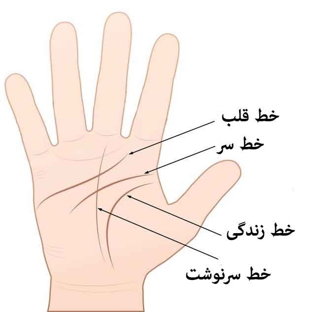 Palmistry Guide